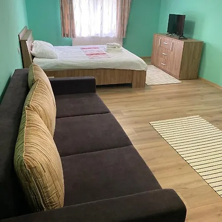 Casa Fabian Etaj Semesterbostad Moisei